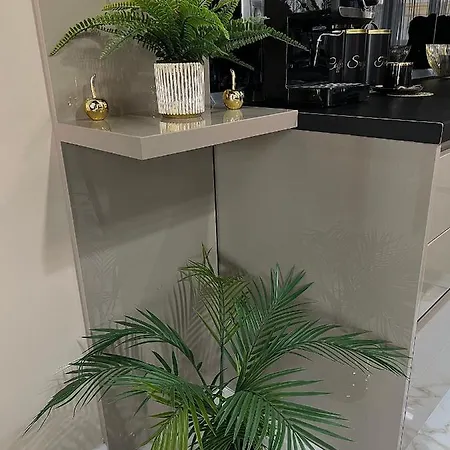 Cso Luxury Apartment